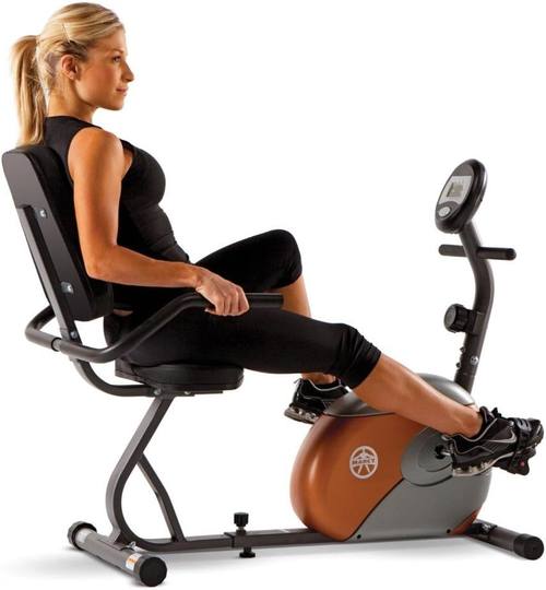 BRAND NEW Marcy ME 709 Recumbent Exercise Bike with Large Console Display